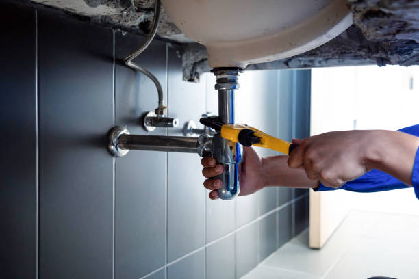 Best Commercial Plumbing Services  in Evergreen, MT